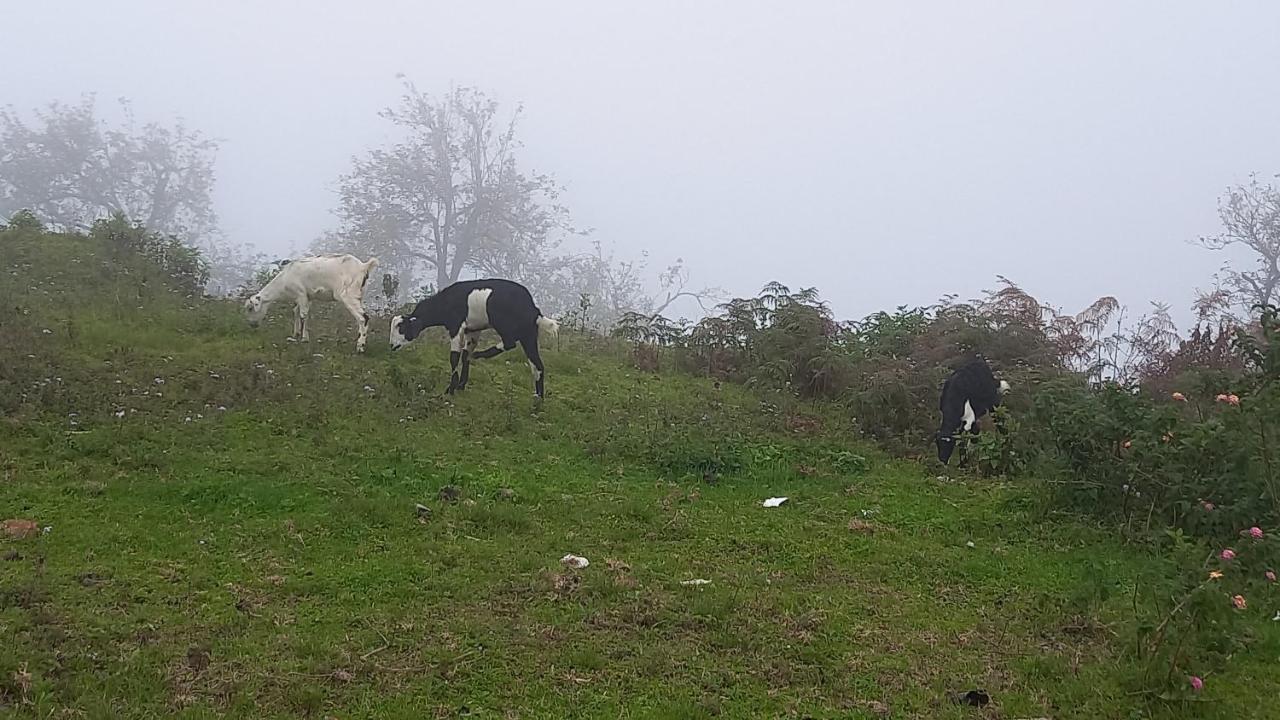 Salora Kodai 科代卡纳尔 外观 照片