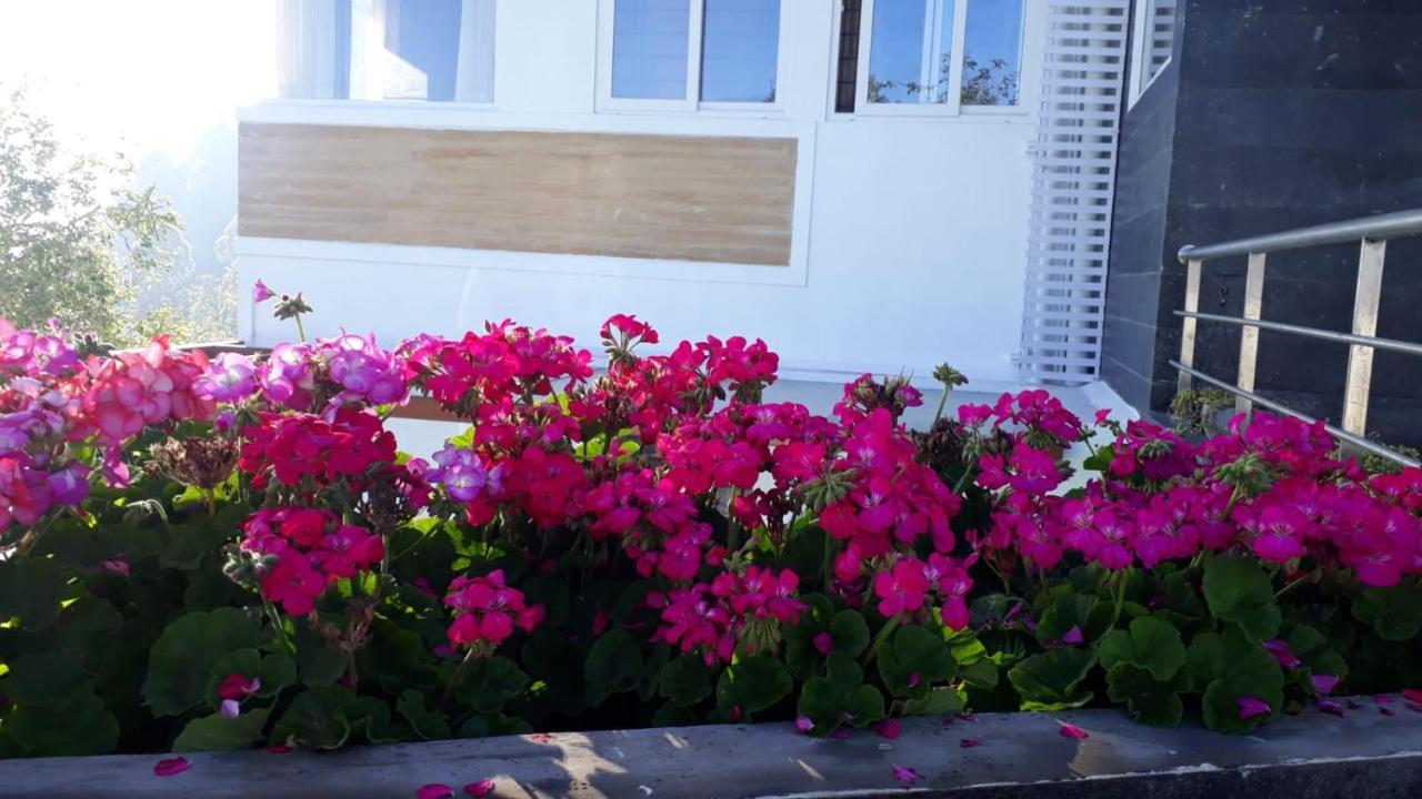 Salora Kodai 科代卡纳尔 外观 照片