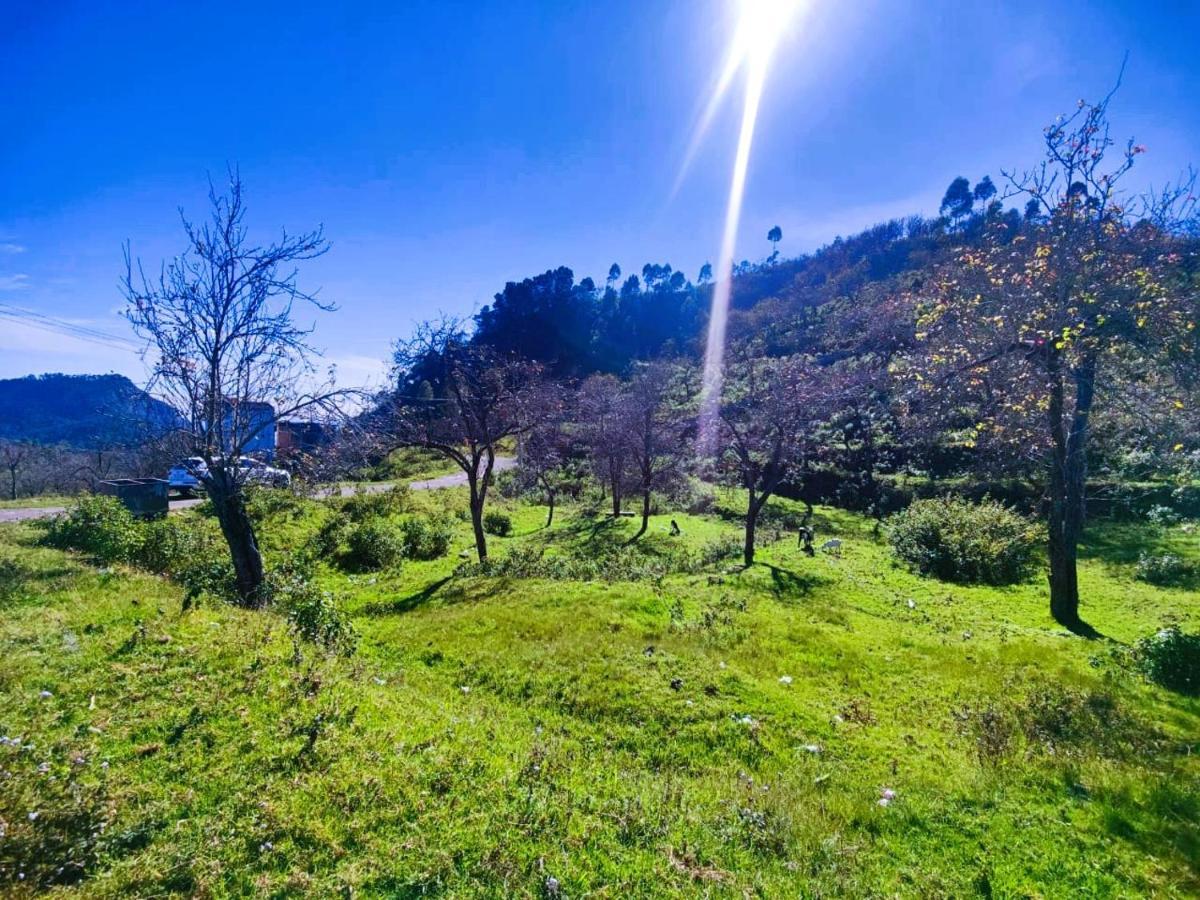 Salora Kodai 科代卡纳尔 外观 照片