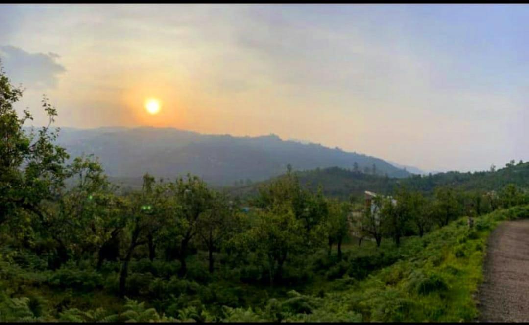 Salora Kodai 科代卡纳尔 外观 照片